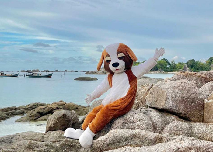 Promo Menginap Hotel Belitung 2026, Swiss-Belresort Hadirkan Paket Bernie Play & Stay