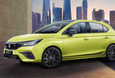 5 Shio Paling Sukses di 2026, Karier Moncer dan Mobil yang Cocok Dimiliki