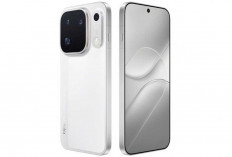 OPPO Find X10 Pro Max Pamer Jepretan Kamera Telefoto 200MP, Ini Deretan Hasilnya