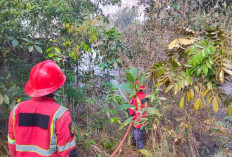 Kasus Karhutla di Belitung Meningkat, BPBD Minta Warga Jangan Bakar Lahan