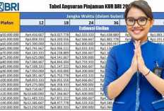 Pinjaman KUR BRI Rp100 Juta untuk UMKM November 2025, Ini Syarat, Simulasi Angsuran & Cara Pengajuan