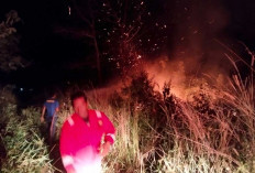 Karhutla Kembali Ancam Belitung, Api Nyaris Merambat ke Perumahan