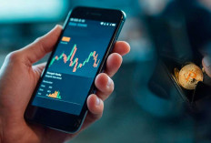 Crypto Wallet Terbaik untuk Trader Pro, Kustodian vs Non Kustodial Mana Paling Aman?