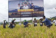 Ketahanan Pangan Beltim Menguat, Yonif 845 Targetkan Pengembangan Lahan Berkelanjutan