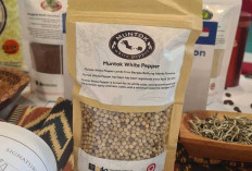 Cita Rasa Khas Lada Babel Bikin Jepang Ketagihan, Ekspor Diproyeksi Terus Naik