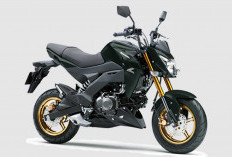 Harga Kawasaki Z125 Pro 2025, Motor Kecil Bergaya Big Bike untuk Rider Urban