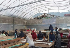 Dari Limbah Jadi Usaha, Nasabah PNM Mekaar Bandung Barat Tumbuh Lewat Sinergi Ultra Mikro BRI