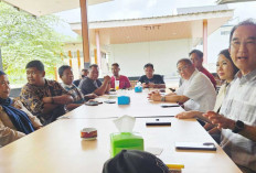 Rudianto Tjen Minta Jadwal Penerbangan Singapura–Belitung Dievaluasi, Ini Alasannya
