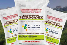 Penyaluran Pupuk Organik Subsidi Babel Tembus 4,4 Juta Kg, Ini Rincian per Daerah