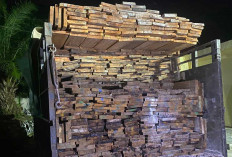Pengiriman 12 Kubik Papan Kayu Digagalkan di Pelabuhan Tanjungpandan, Polisi Selidiki Dokumen
