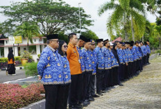 Sensus Ekonomi 2026 Belitung Timur Dimulai, 126 Petugas Data Seluruh Rumah dan Usaha