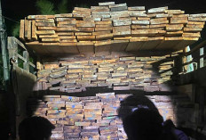 Kasus Dugaan Penyelundupan Kayu Belitung, Polisi Buru Pemasok Kabur dan Telusuri Jaringan