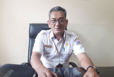 Pemutihan Pajak Kendaraan di Beltim Resmi Berlaku, Denda PKB Dihapus hingga 31 Oktober 2026