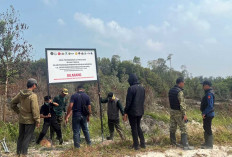 Lahan Tambang CV Irpau Hero Disegel, Pemilik Bungkam, Aktivis Desak Satgas PKH Transparan