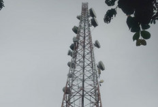 Polemik Tower Telkomsel di Selat Nasik Mencuat, Transparansi Dana Sewa 40 Tahun Dipertanyakan
