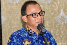 Ekonomi Belitung Tumbuh 4,99 Persen, Tetap Positif di Tengah Tekanan