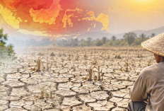 El Nino Sangat Kuat Berlanjut hingga Awal 2027, BMKG Ingatkan Risiko Musim Kering