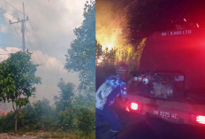 2 Karhutla Sepekan di Bulu Tumbang, BPBD Belitung Minta Warga Waspadai Titik Api