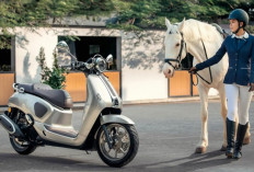 Honda NWF150 Rilis: Skutik Retro Terbaru 2026 Pakai Radar & Dashcam!