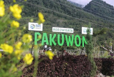 Lewat Desa BRILiaN, Pajambon Kuningan Jadi Contoh Transformasi Ekonomi Berbasis Potensi Lokal