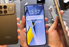 The True Flagship! POCO F8 Series Masuk Indonesia, HP Dewa Dual Chipset Monster Performa