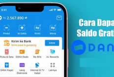 Daftar Game dan Survei Penghasil Saldo DANA di November 2025, Raih Cuan dari HP!