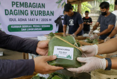 Kurangi Sampah Idul Adha, DLH Belitung Minta Daging Kurban Tak Lagi Dibungkus Plastik