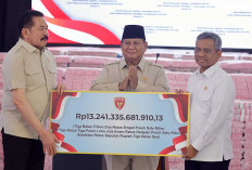 Rp13,24 Triliun Masuk Kas Negara, Satgas PKH Kuasai Kembali 259 Ribu Hektare Hutan