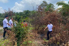 Kasus Pencabulan Anak SD Terbongkar, Teman Korban Pergoki Aksi Pelaku di Kebun