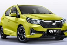 11 Jenis Mobil Honda Populer 2025, Lengkap dari City Car hingga Sedan Premium