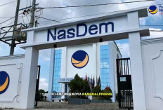 NasDem Babel Siap Kawal Kewajiban Plasma Sawit, Tegaskan Investasi Harus Sejahterakan Masyarakat