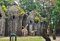 5 Destinasi Wisata Terbaik untuk Liburan di Jakarta, Nomor 3 Paling Merakyat!