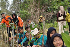 Gerakan Lingkungan di Belitung Timur, 1.000 Bibit Ditanam untuk Selamatkan Pesisir