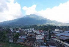 Mengenal Desa BRILiaN Sumowono, Desa Sayur yang Tumbuh dan Inovatif Bersama BRI