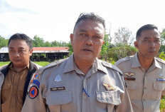 Kebakaran Lahan di Belitung Timur Meningkat Tajam, BPBD Catat 24 Kasus dalam 19 Hari