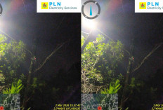 Listrik Belitung Tetap Andal Saat Ramadan dan Idulfitri 2026, Bupati Apresiasi Kinerja PLN