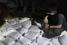 Penyelundupan Timah Belitung-Bangka Kembali Terungkap, 1,5 Ton Disamarkan di Balik Sagu