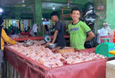 Stok Ayam Ditambah 80 Ton, Harga di Babel Mulai Turun di Tengah Lonjakan Kebutuhan MBG