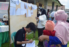 Daftar Lengkap 13 Desa di Belitung yang Gelar Pilkades 20 September 2026