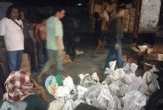 Modus Baru Penyelundupan Timah dari Belitung Terungkap, Disamarkan dalam Kardus Minyakita