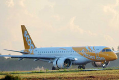 Scoot Resmi Buka Rute Singapura–Belitung, Okupansi Perdana Tembus 80 Persen