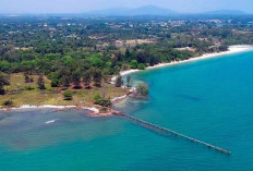 Laut Olivier Beltim Terancam Jadi Zona Tambang? HNSI Soroti Pasal RZWP3K