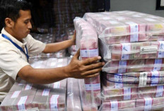 Realisasi PAD Belitung 2025 Lampaui Target, Ini Sektor Penyumbang Terbesar