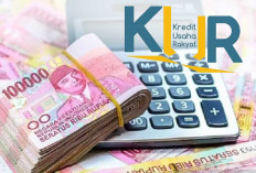 Mau Pinjam KUR 2026? Aturan Baru Ini Bikin Pengajuan Jauh Lebih Mudah