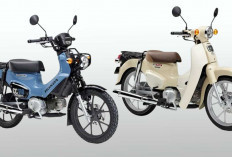Honda Segarkan Super Cub 110, Hadirkan Varian Baru Bergaya Petualang