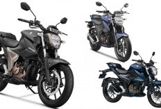 Suzuki Thunder Reborn 250 CC, Legenda Lawas Bangkit Lebih Modern dan Bertenaga
