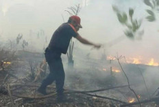 Kualitas Udara Belitung Mulai Menurun, Dampak Cuaca Ekstrem dan Karhutla