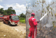 Belitung Dikepung Karhutla, 4 Kebakaran Lahan Terjadi Dalam Sehari