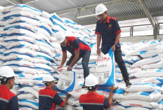 Harga 5 Jenis Pupuk Subsidi Turun 20 Persen, NTP Petani Naik Jadi 129,19
