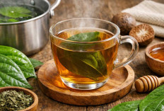 Air Rebusan Daun Sirih Banyak Manfaatnya, Ini 7 Khasiat Utama